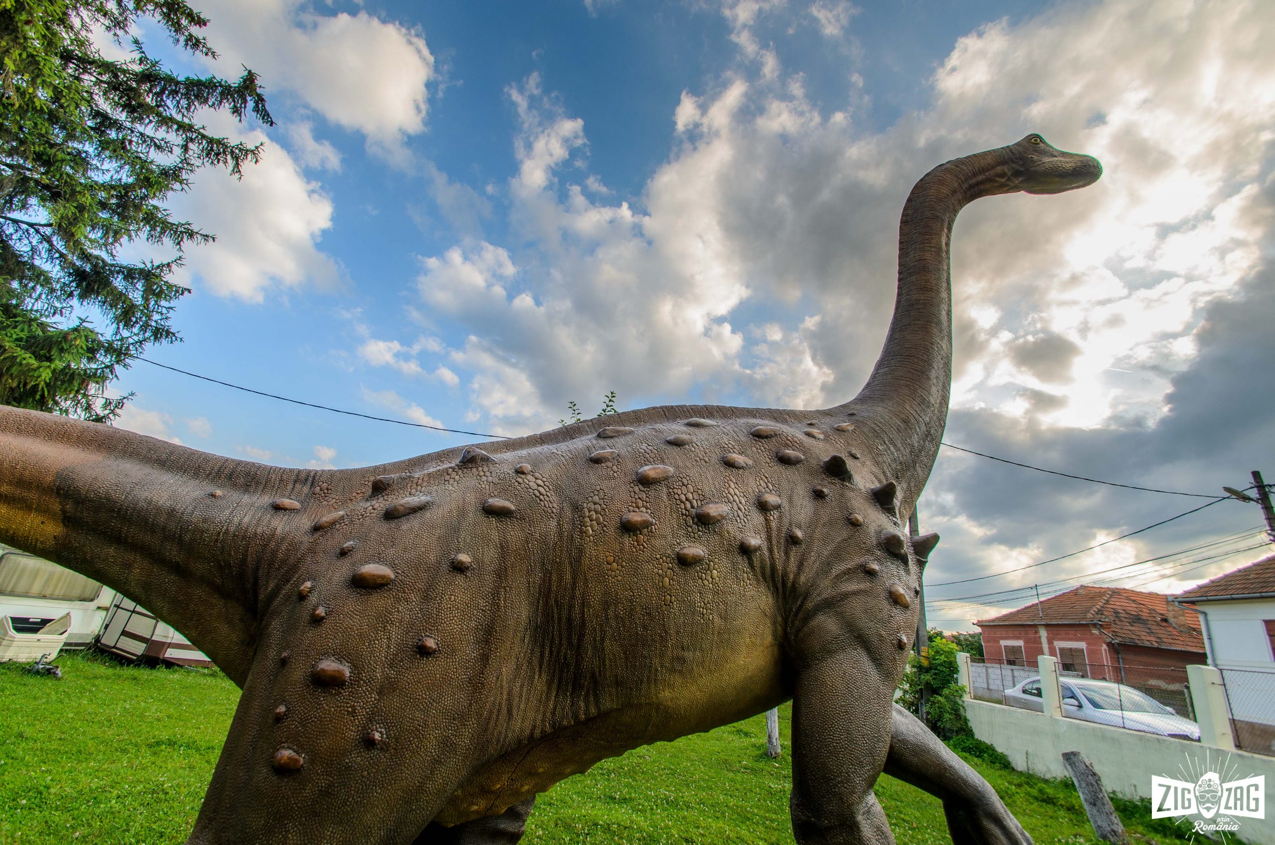 muzeul-dinozaurilor-dinozaur